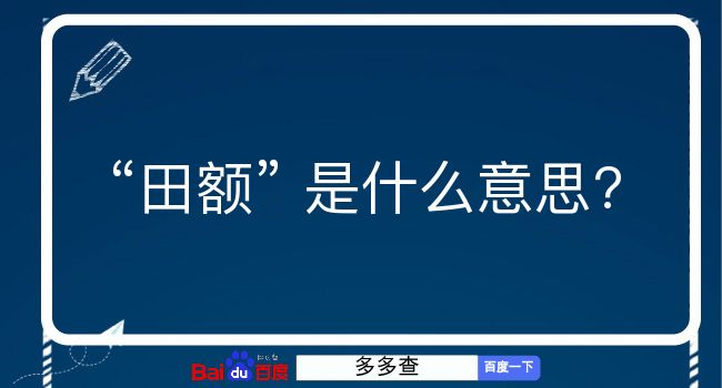 田额是什么意思？