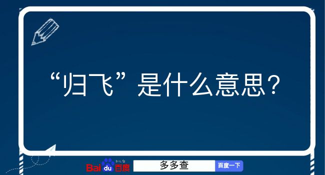 归飞是什么意思？