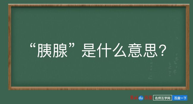 胰腺是什么意思？