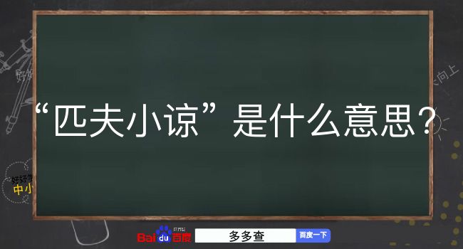 匹夫小谅是什么意思？