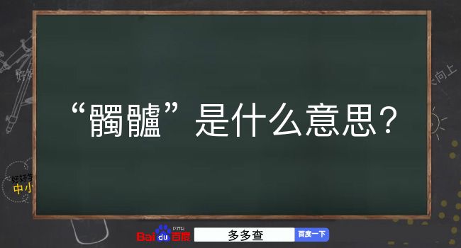 髑髗是什么意思？