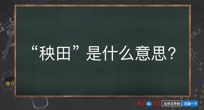 秧田是什么意思？