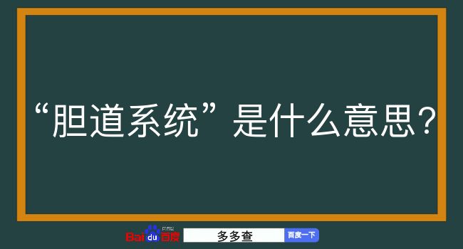 胆道系统是什么意思？