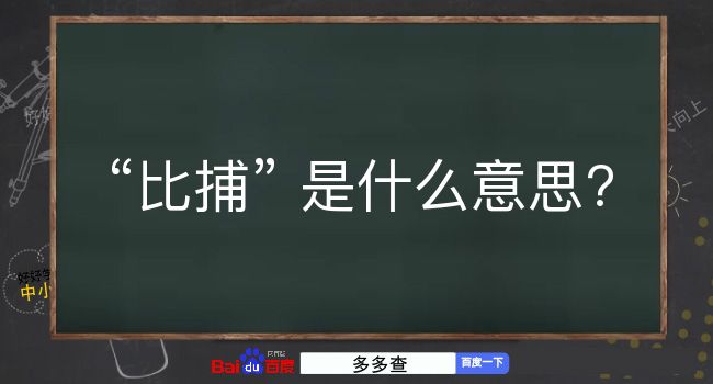 比捕是什么意思？