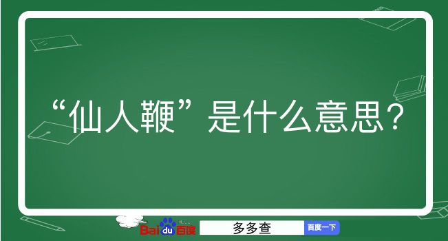 仙人鞭是什么意思？