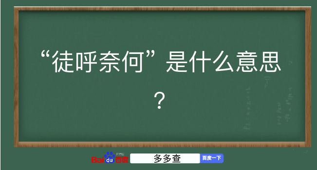 徒呼奈何是什么意思？