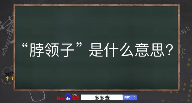 脖领子是什么意思？