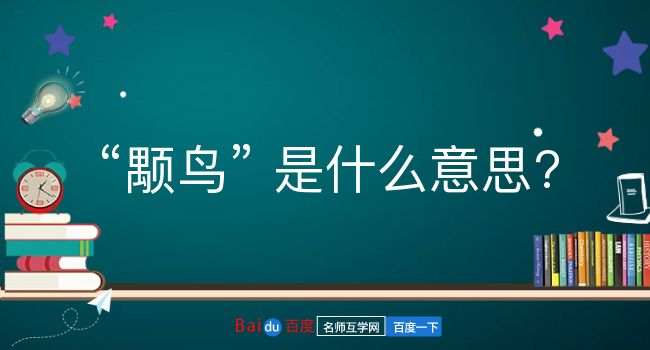 颙鸟是什么意思？