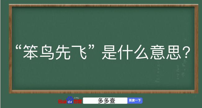 笨鸟先飞是什么意思？