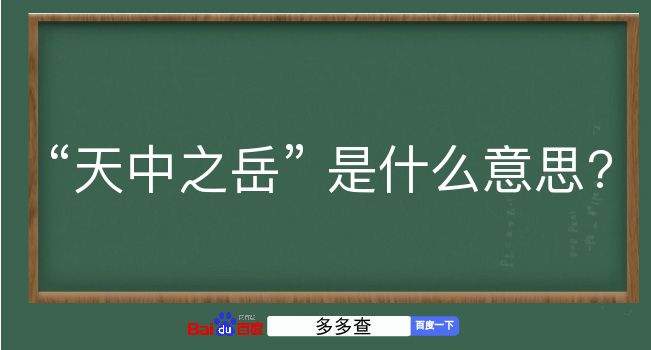 天中之岳是什么意思？