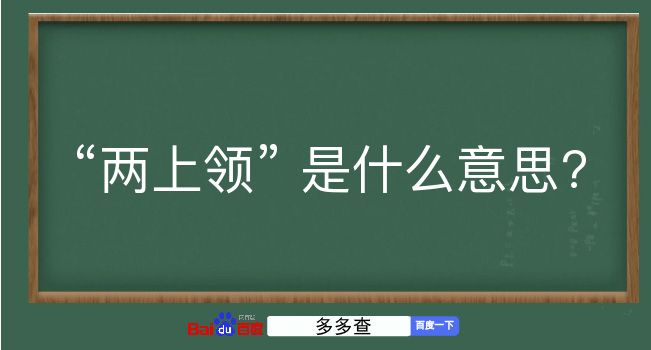 两上领是什么意思？