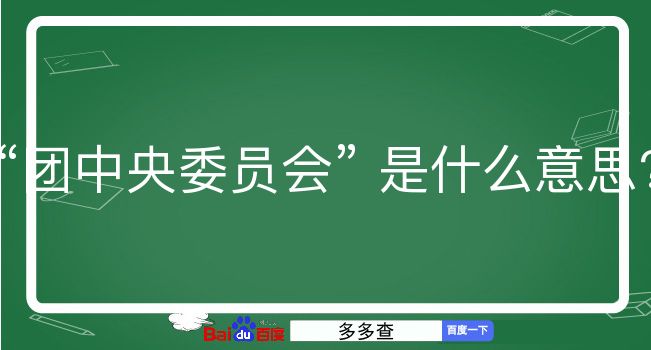 团中央委员会是什么意思？