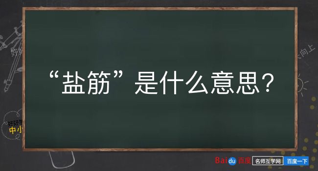 盐筋是什么意思？