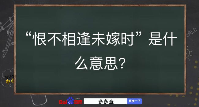 恨不相逢未嫁时是什么意思？