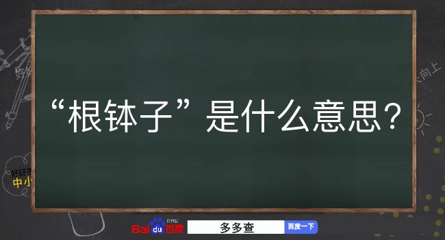 根钵子是什么意思？