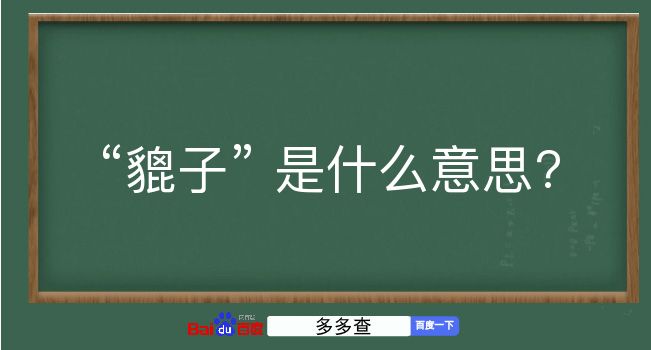 貔子是什么意思？