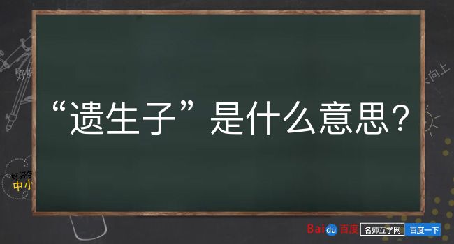 遗生子是什么意思？