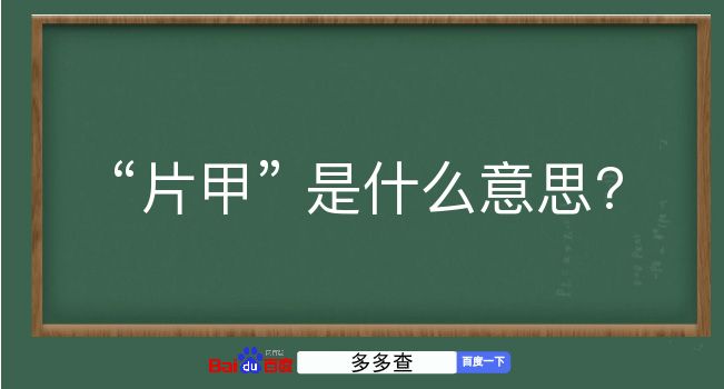 片甲是什么意思？