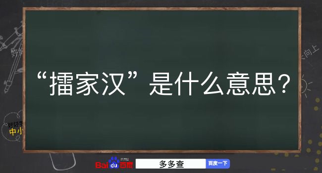 擂家汉是什么意思？