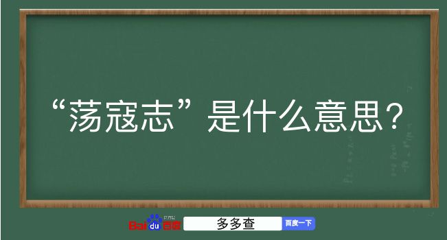 荡寇志是什么意思？