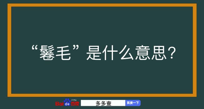 鬈毛是什么意思？