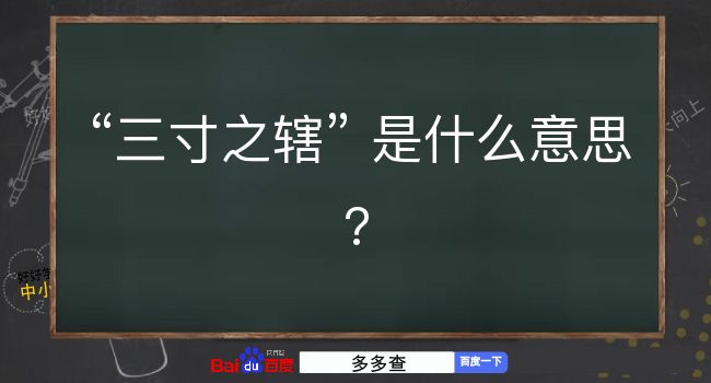 三寸之辖是什么意思？