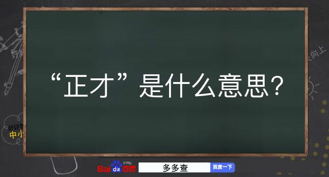 正才是什么意思？