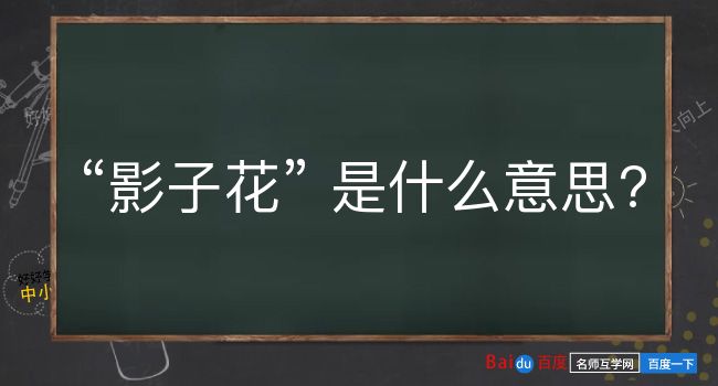 影子花是什么意思？