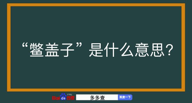 鳖盖子是什么意思？