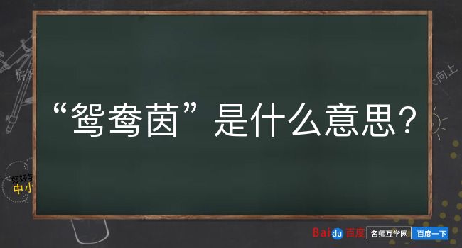 鸳鸯茵是什么意思？