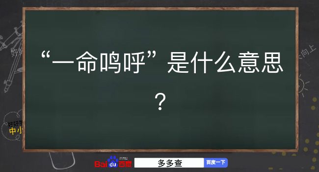 一命鸣呼是什么意思？