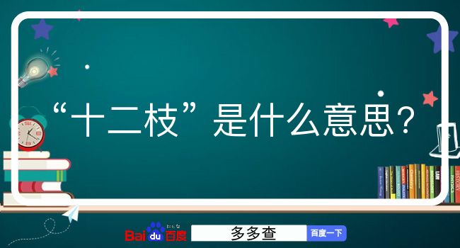 十二枝是什么意思？