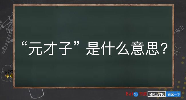 元才子是什么意思？