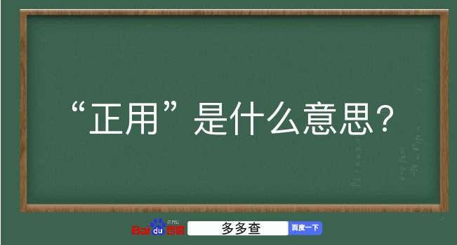 正用是什么意思？