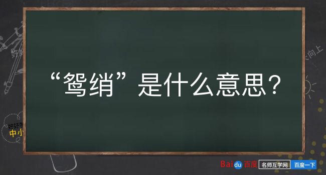 鸳绡是什么意思？