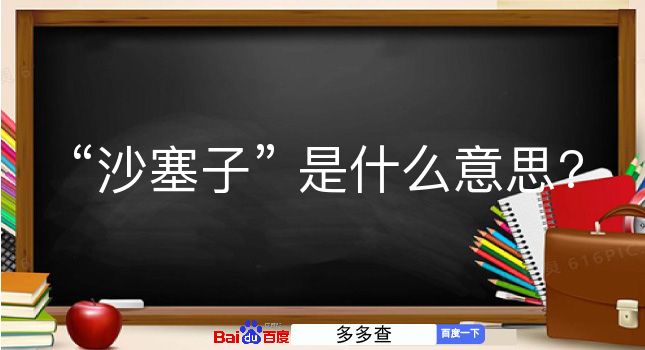 沙塞子是什么意思？