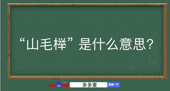 山毛榉是什么意思？