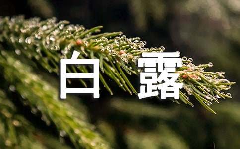 白露安康祝福语