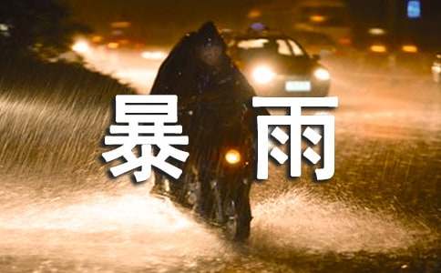 暴雨筛读后感