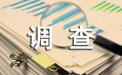 社会调查报告