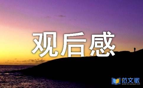 最新《护苗网络安全课》观后感