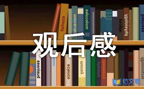 我和我的祖国观后感15篇