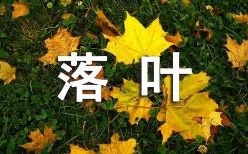 《落叶》教案