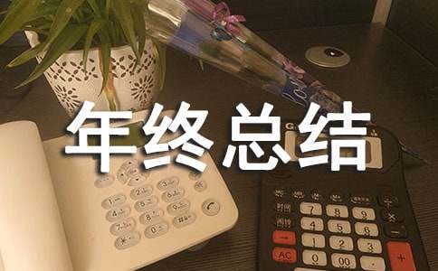 【精品】个人年终总结四篇