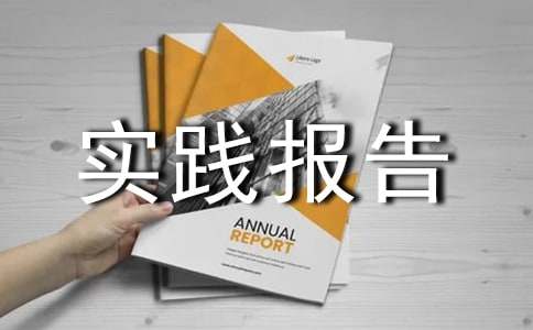 最新暑期三下乡社会实践报告