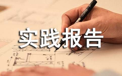 机电一体化社会实践报告