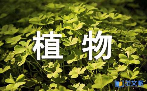 植物学实习报告汇编5篇