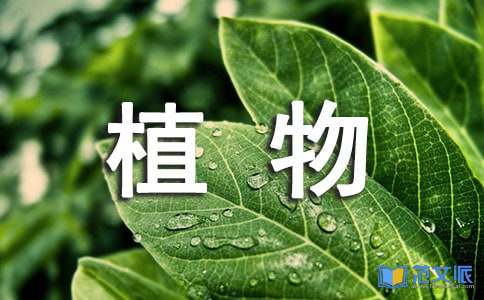 植物学实习报告汇编五篇